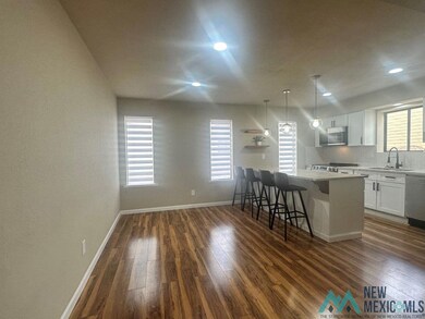 1810 Mountain Shadow Dr, Carlsbad, NM 88220 - photo 5