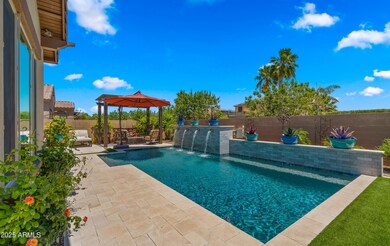 Backyard3