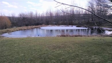 Pond