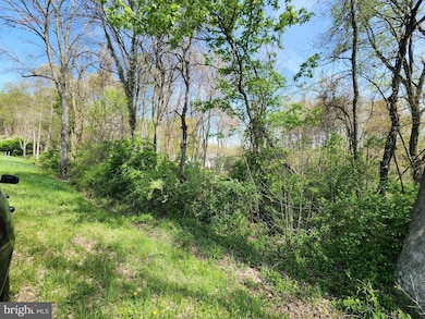 0 Towhee Rd 21620 - photo 4