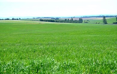 TBD Stuart Rd, Orofino, ID 83544 - photo 4