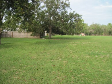 217 High St, Brazoria, TX 77422 - photo 4