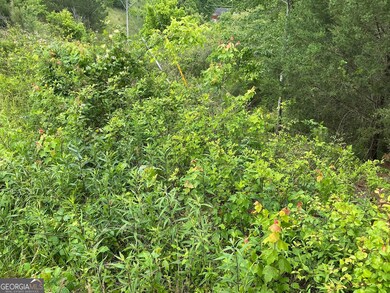 HD_1747143228770_IMG_0246