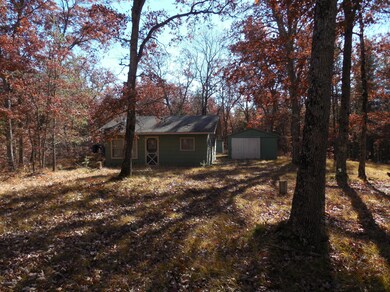 3355 W 8th St, Baldwin, MI 49304 - photo 2