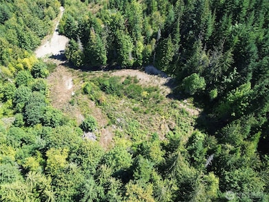 596 Watershed Rd, Port Angeles, WA 98362 - photo 6