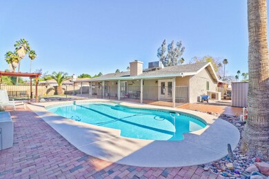6 Back Yard