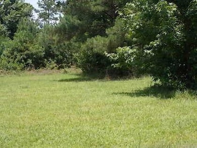 0 Hazel Ln, Cross, SC 29436 - photo 4