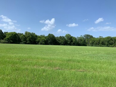 00 Dorsey Rd, Milam, TX 75959 - photo 3