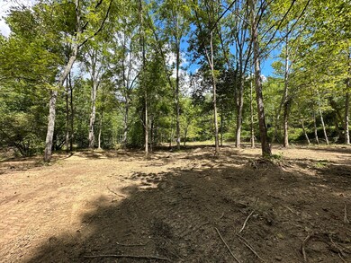 1730 Williams Creek, Rush, KY 41168 - photo 7