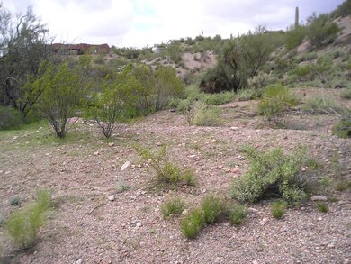 POSSIBLE HORSE AREA