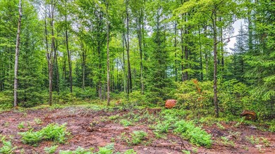 ON Sanctuary Rd, Tomahawk, WI 54487 - photo 5