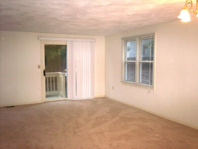 295 River St, Waltham, MA 02453 - photo 4