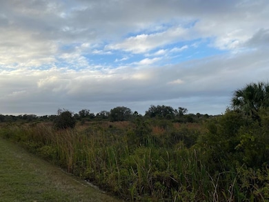 0 314th St NW unit F10498706, Okeechobee, FL 34972 - photo 5