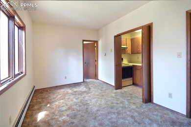7770 Topeka Ave, Cascade, CO 80809 - photo 5