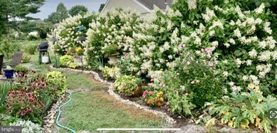 38 Windsor Rd, Southampton, NJ 08088 - photo 5