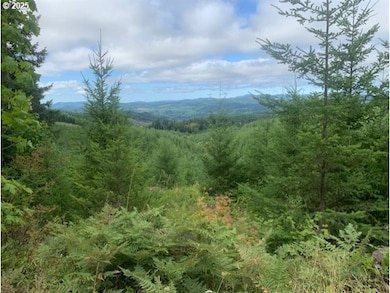 0 John Lee Rd, Buxton, OR 97109 - photo 2