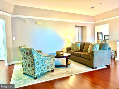 5930 Great Star Dr unit 402, Clarksville, MD 21029 - photo 2