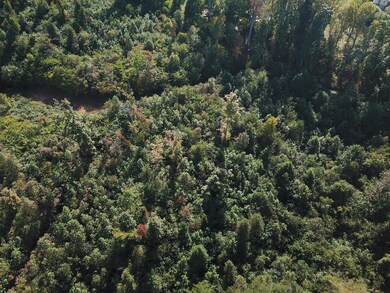 0 New Corinth Rd unit 1132033, Blaine, TN 37709 - photo 3