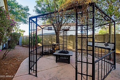 Backyard 4