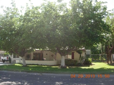 Shaded Lot