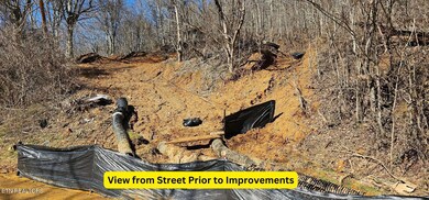 Pre_Improvement Street View