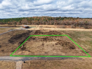 333 Rutty Pine, Broken Bow, OK 74728 - photo 4