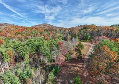 TBD Alex Way, Morganton, GA 30560 - photo 7