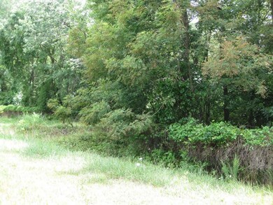 Back wooded side