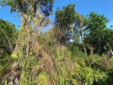 West border of lot.