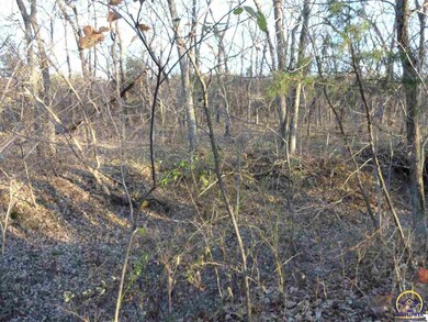 16412 166th Rd, Mayetta, KS 66509 - photo 5