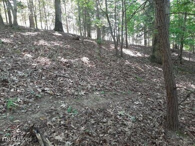 0 Deer Pond Cir unit 1281474, Lafollette, TN 37766 - photo 3