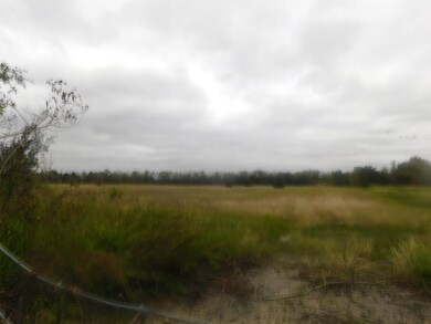 0 Cr 380, Rosharon, TX 77583 - photo 4