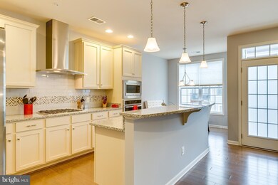 43148 Thoroughfare Gap Terrace unit 43148, Ashburn, VA 20148 - photo 3