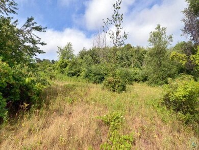 Lot 6 Highwood Cir, Middleton, WI 53562 - photo 5