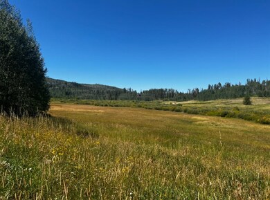 32625 Colt Trail, Oak Creek, CO 80467 - photo 3