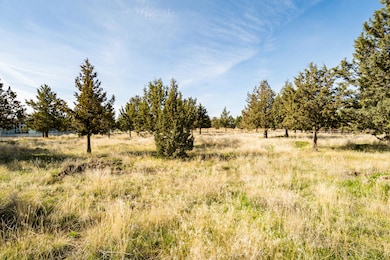 0 SW Peninsula Dr unit Lot 173 220199686, Terrebonne, OR 97760 - photo 5