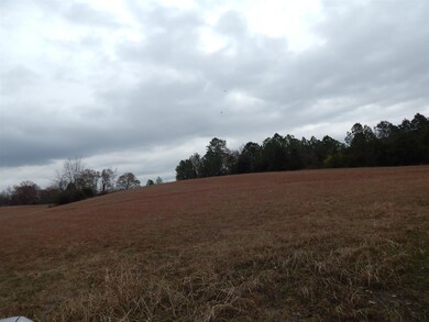 0 Liberty-Prospect Rd unit 1783700, Prospect, TN 38477 - photo 4