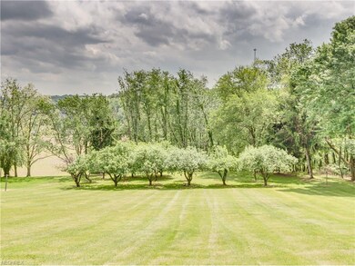 Fruit trees
