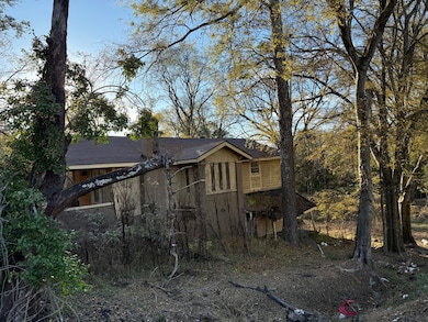 7430 5th Ave S, Birmingham, AL 35206 - photo 4