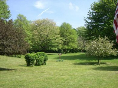 Yard/Garden.
