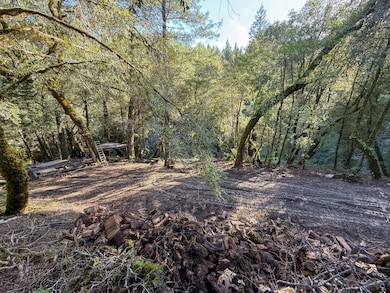 5200 Briceland Rd, Redway, CA 95560 - photo 6