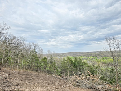 Tract 2 Easy St, Green Township, MO - photo 2