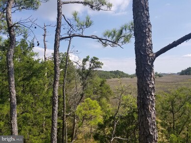 0 Toddville - Bishops Head Rd unit 1000999421, Toddville, MD 21672 - photo 2