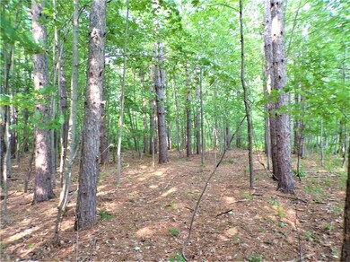 11.3 Acres on Walrath Rd, Lawrence, WI 54526 - photo 4