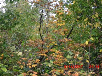 0 Perida Rd, Webster, WI 54893 - photo 5