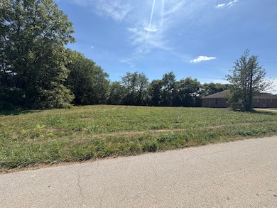 110 Harvey Ave, Walnut Grove, KY 42501 - photo 5