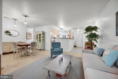 9603 Devedente Dr unit 103, Owings Mills, MD 21117 - photo 6