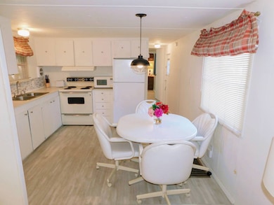 38049 Winter Dr, Zephyrhills, FL 33542 - photo 7