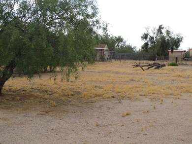 brushtrail 037