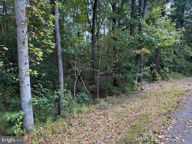 6 Stafford Cove, Ruther Glen, VA 22546 - photo 4